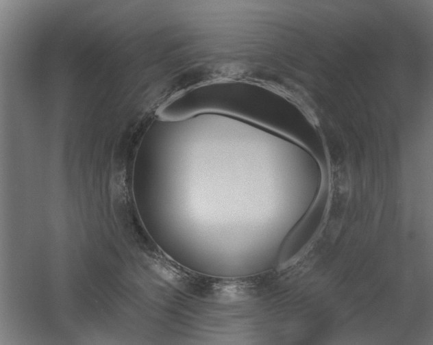 X0000060780564200511101011