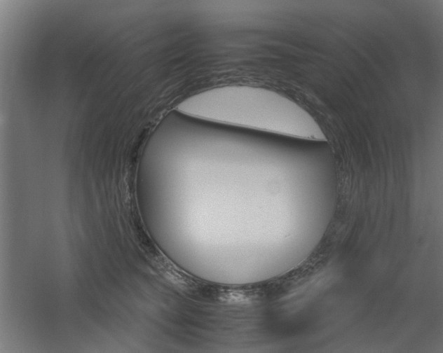 X0000060780565200511101011