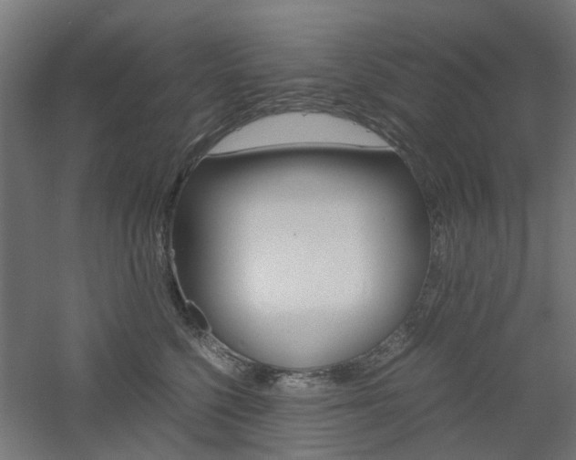 X0000060780568200511101011
