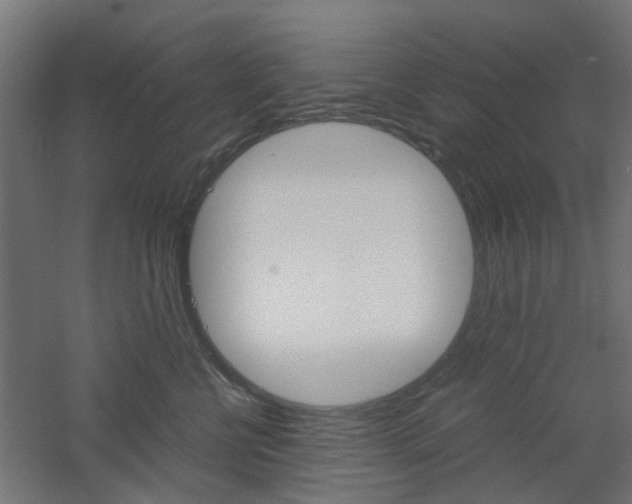 X0000060780570200511101011