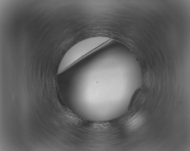 X0000060780571200511101011