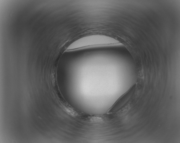 X0000060780572200511101011