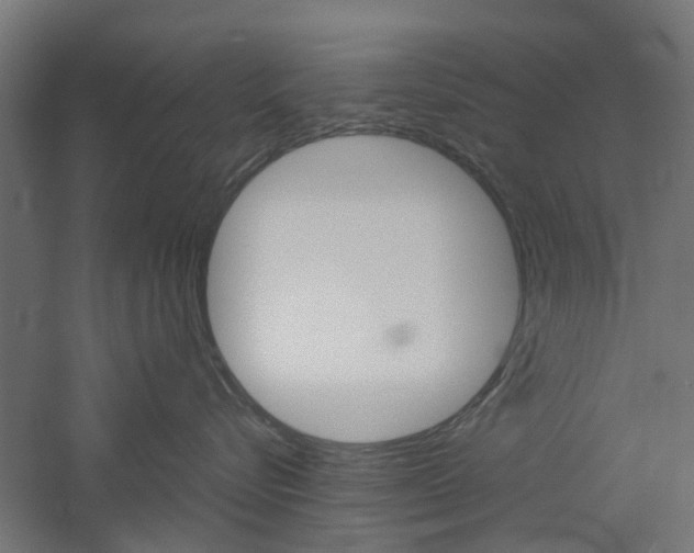 X0000060780576200511101011
