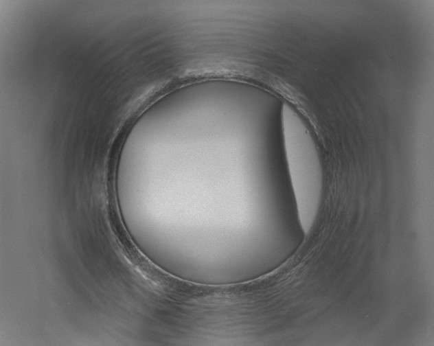 X0000060780578200511101010