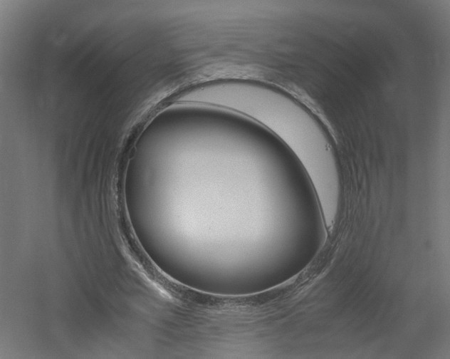 X0000060780581200511101010