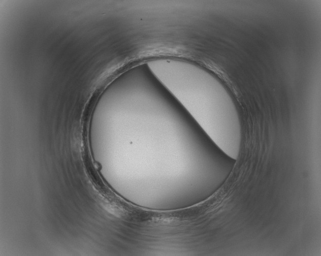 X0000060780582200511101010