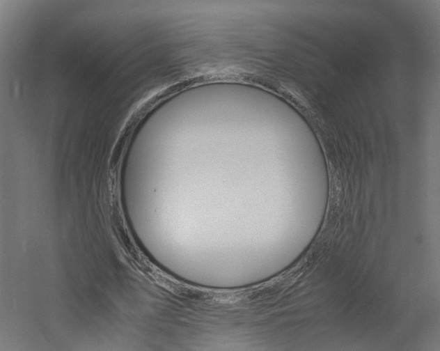 X0000060780583200511101010