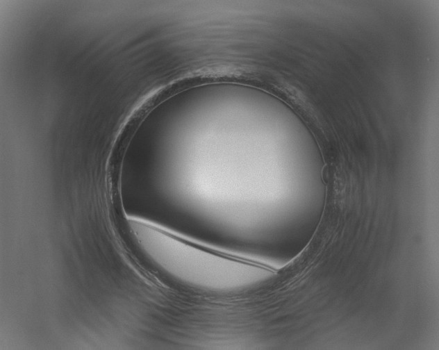 X0000060780584200511101010