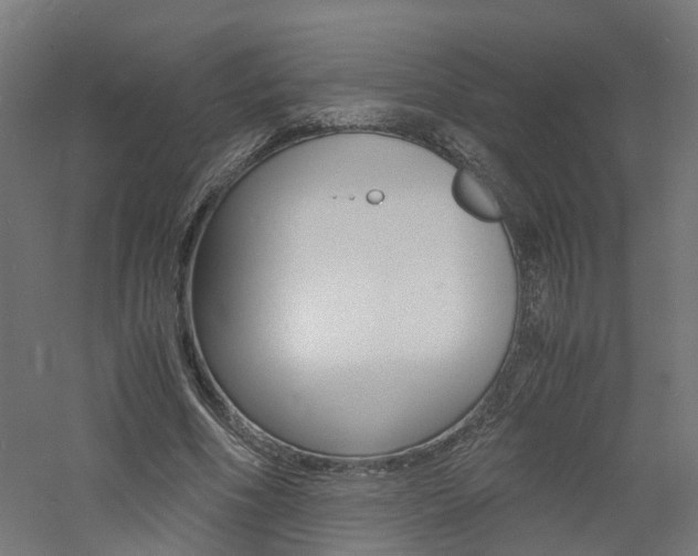 X0000060780586200511101010