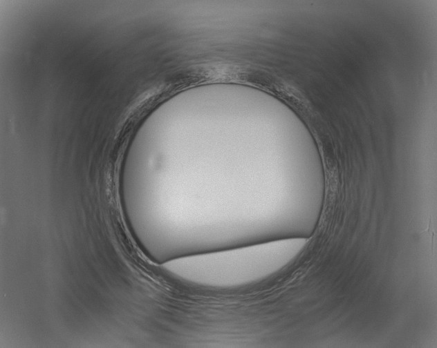 X0000060780587200511101010