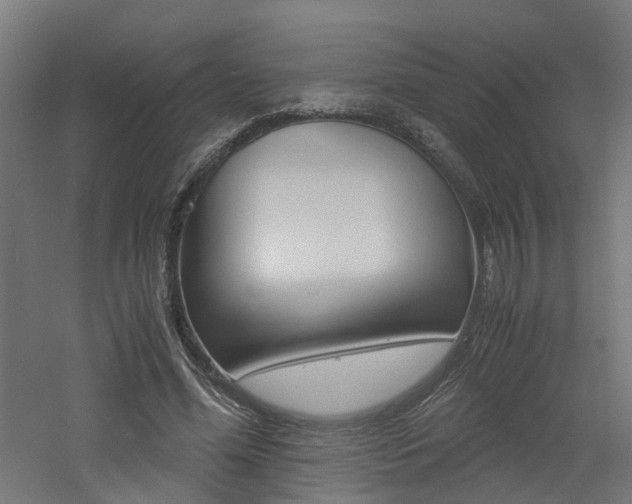 X0000060780588200511101010