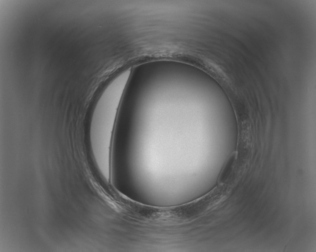 X0000060780589200511101010