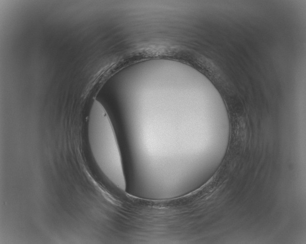 X0000060780590200511101010