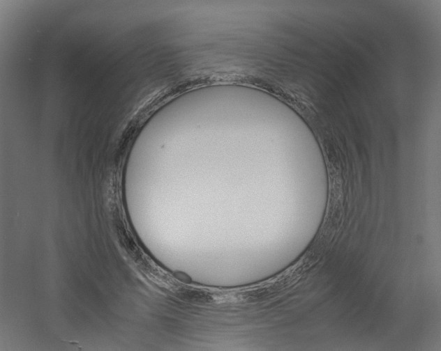 X0000060780591200511101010