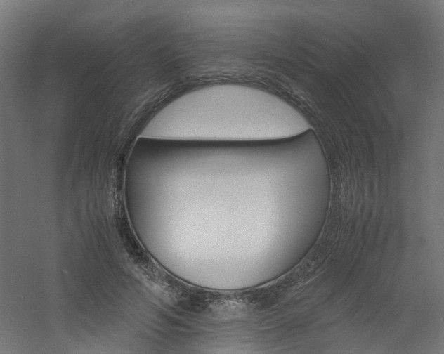 X0000060780594200511101010