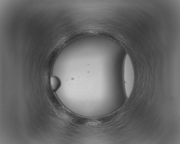 X0000060780595200511101010