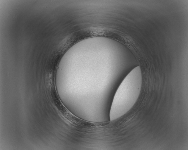 X0000060780598200511101010