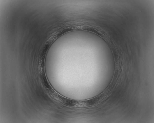 X0000060780599200511101010