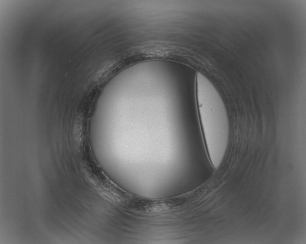 X0000060780600200511101010