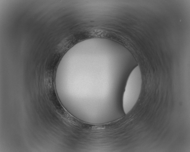 X0000060780602200511101010