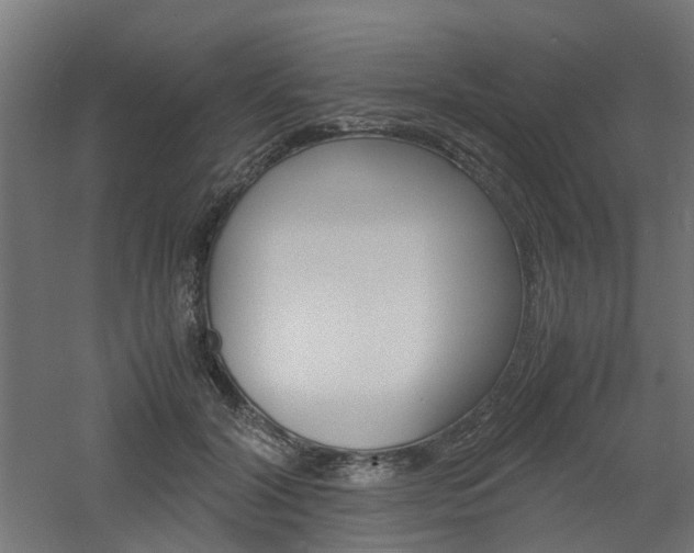 X0000060780604200511101010