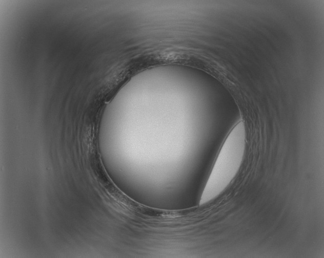 X0000060780605200511101010