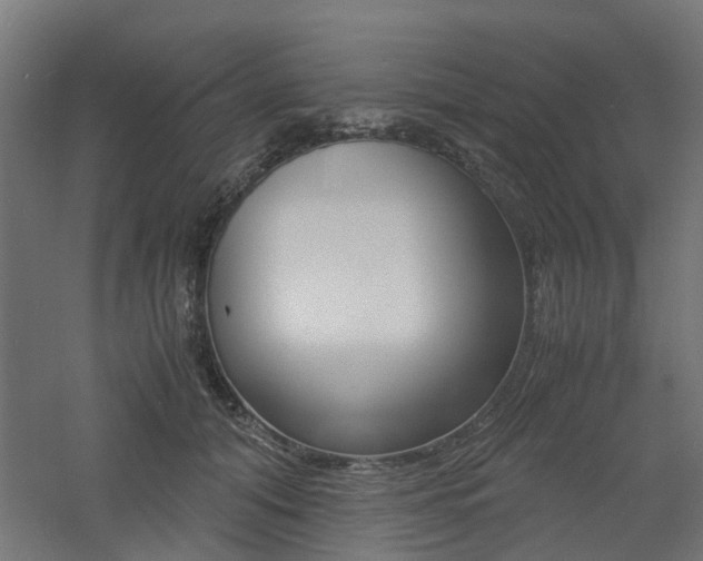 X0000060780608200511101010