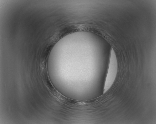 X0000060780611200511101010
