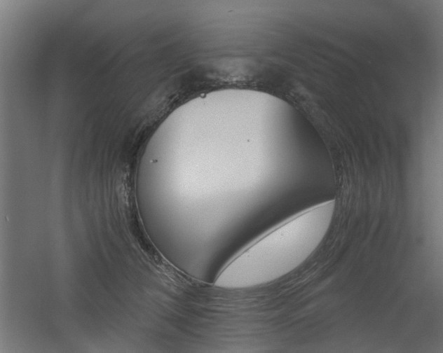 X0000060780612200511101010