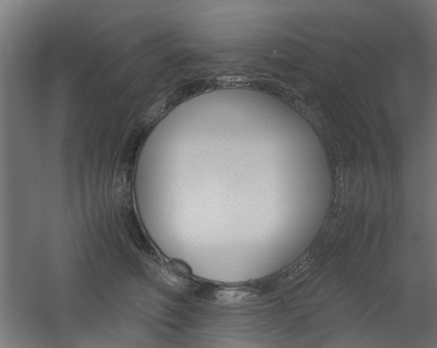 X0000060780614200511101010