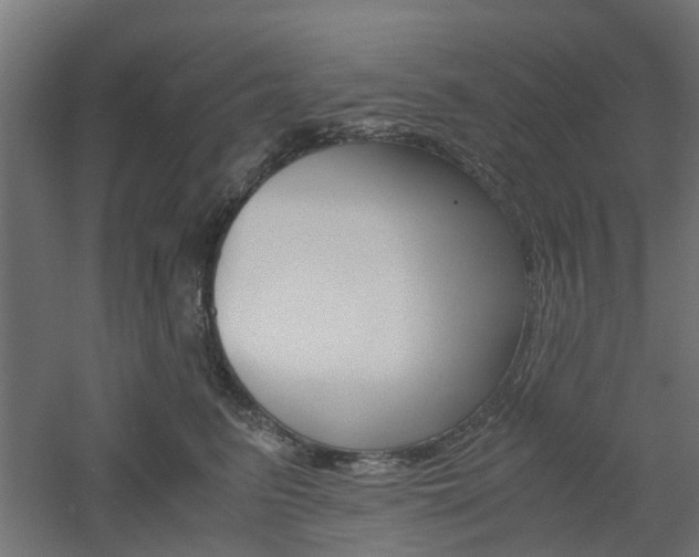 X0000060780615200511101010