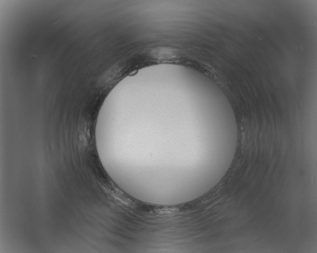 X0000060780618200511101010