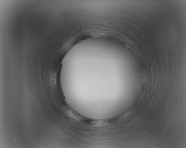 X0000060780621200511101010