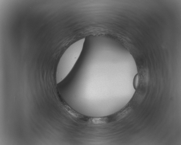 X0000060780622200511101010