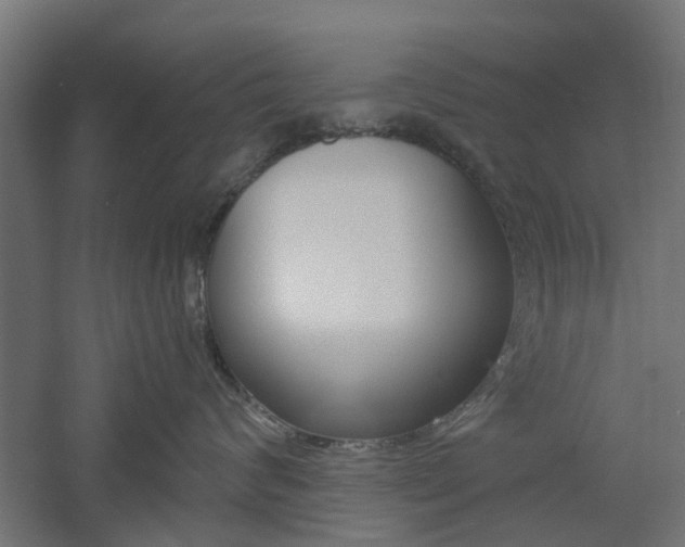 X0000060780624200511101010