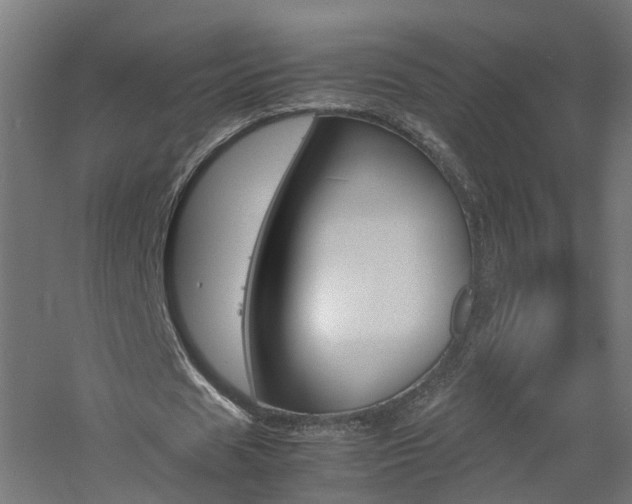 X0000060780625200511101009