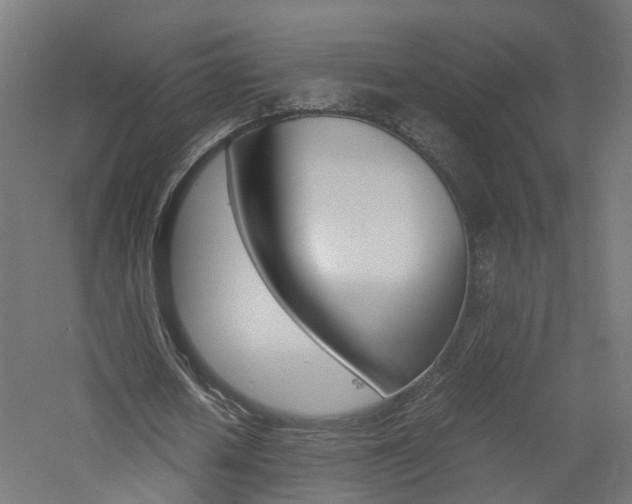 X0000060780626200511101009