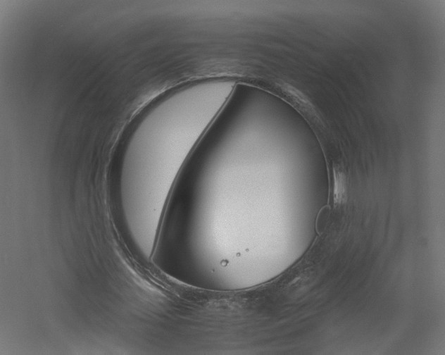 X0000060780627200511101009