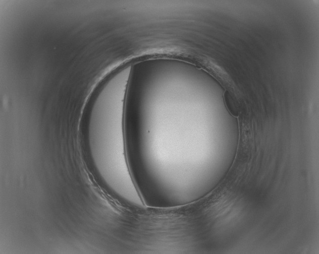 X0000060780628200511101009