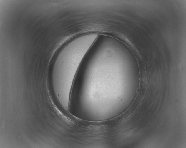 X0000060780629200511101009