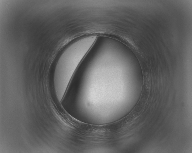 X0000060780631200511101009