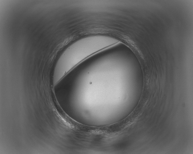 X0000060780633200511101009