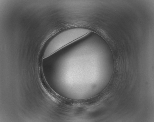 X0000060780634200511101009