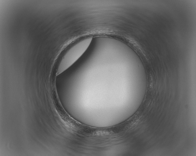 X0000060780636200511101009