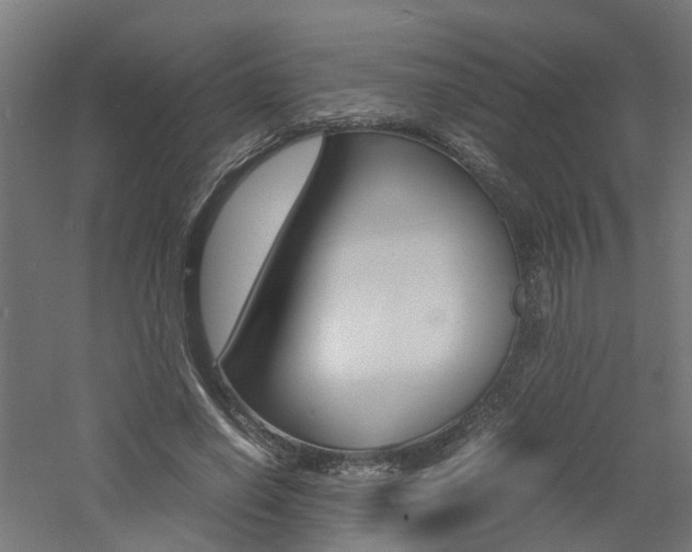 X0000060780638200511101009