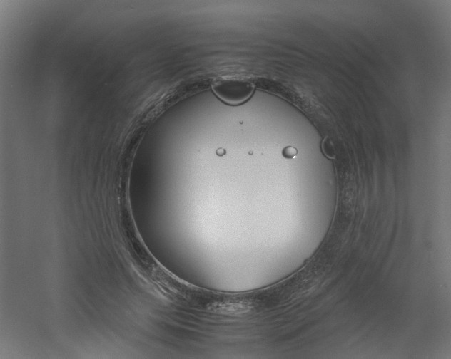 X0000060780639200511101009