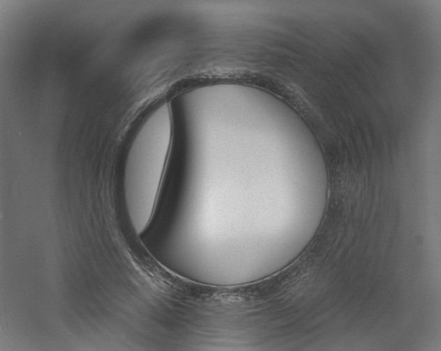 X0000060780640200511101009