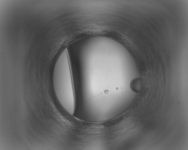 X0000060780642200511101009