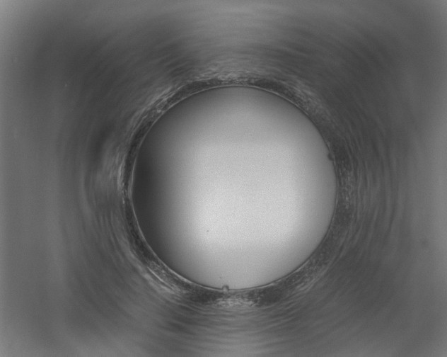 X0000060780644200511101009