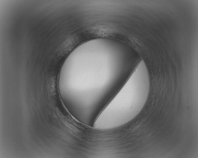 X0000060780646200511101009